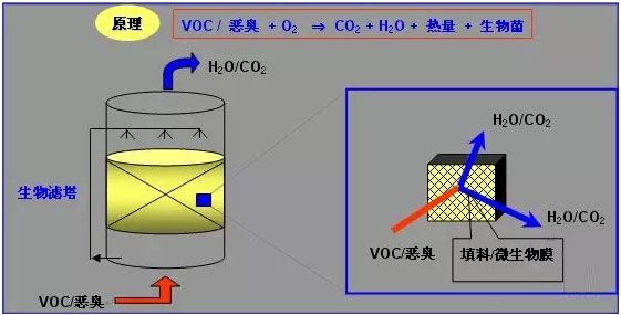 5e43dbe919d1c.jpg 2016223157440.jpg